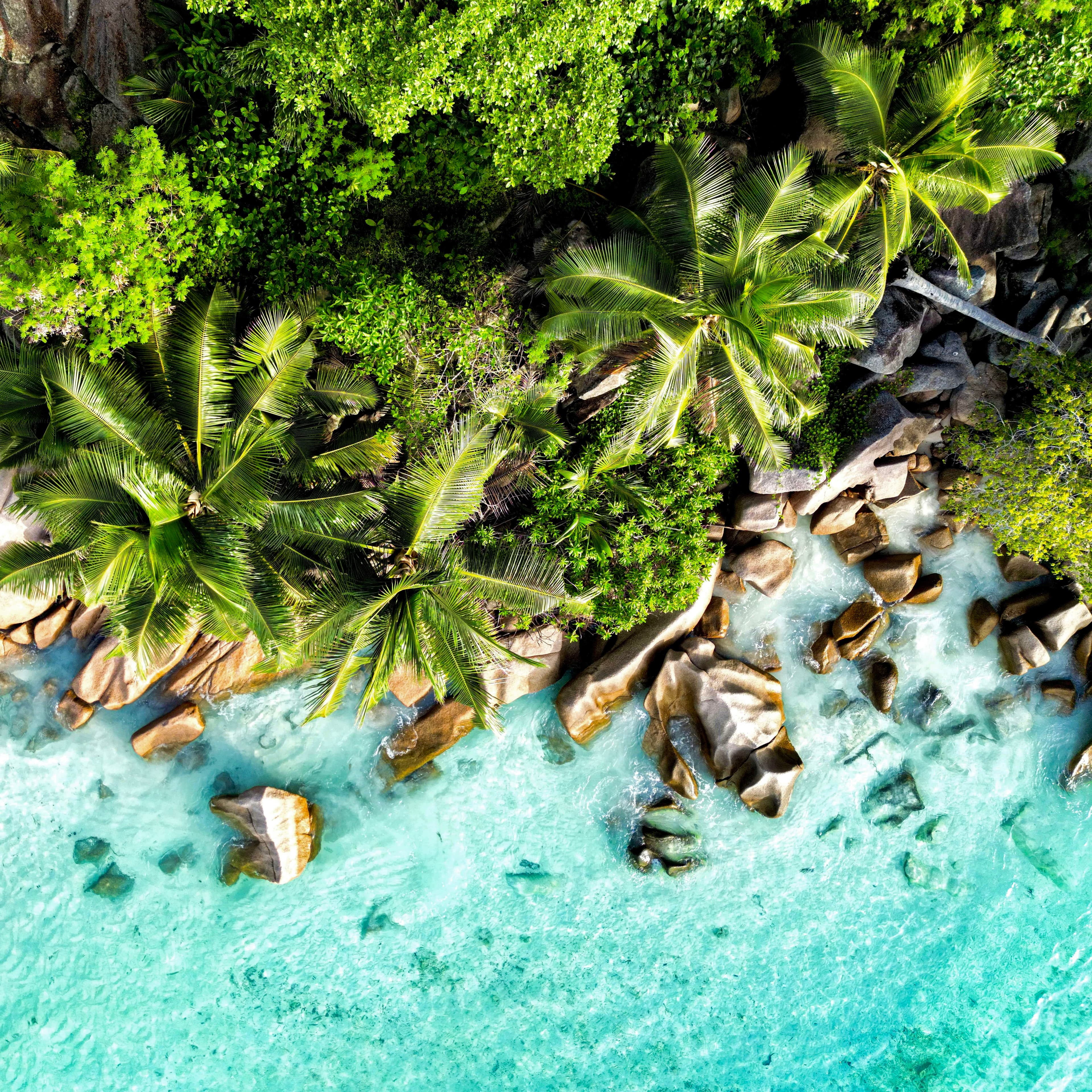 Seychelles beach scenery